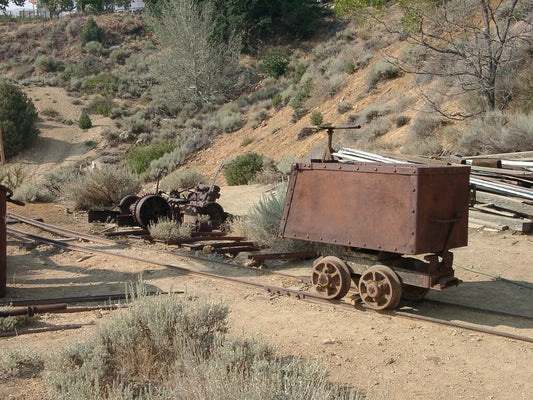 Anza's Gold Rush History